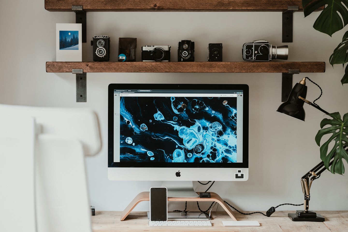 Organized modern workspace with a computer, vintage cameras, and a Monstera plant.